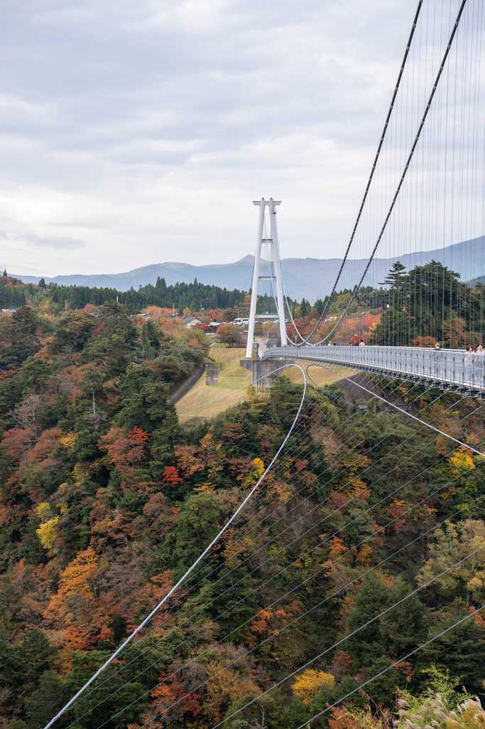 横から見る大吊橋と紅葉
