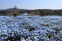 previous post eyecatch img