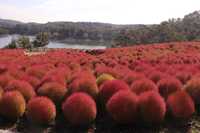 previous post eyecatch img