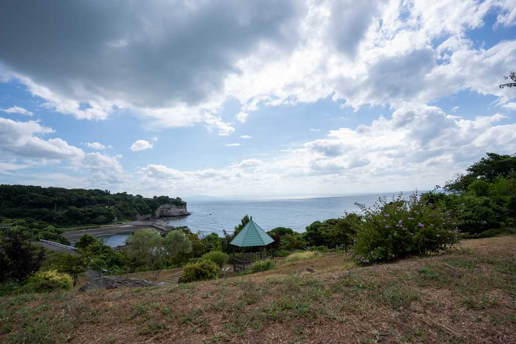 公園からの海の眺め