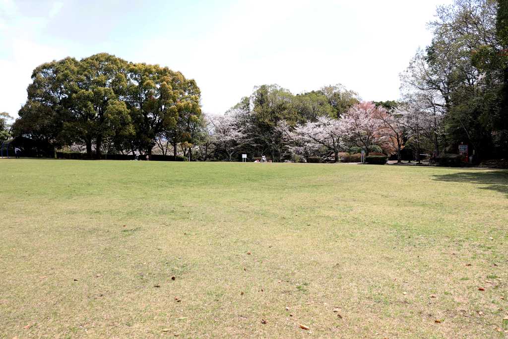 芝生の広場