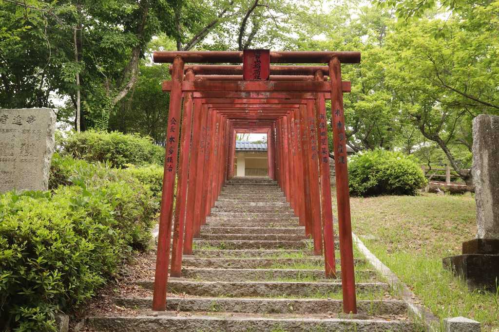 鳥居とあじさい