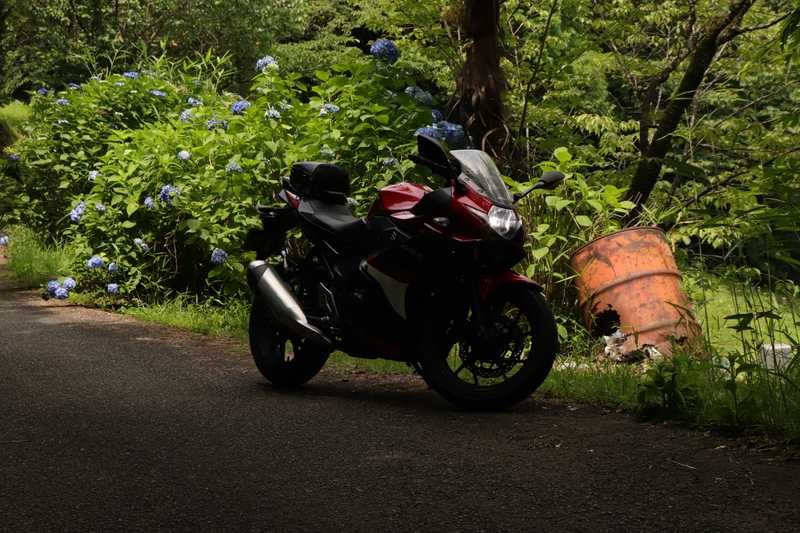 スズキGSX250Rの紹介【安さの理由や高速走行など気になる点を解説】 | oita-touring