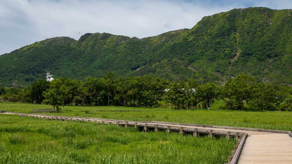 タデ原湿原の長い桟橋