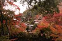 next post eyecatch img