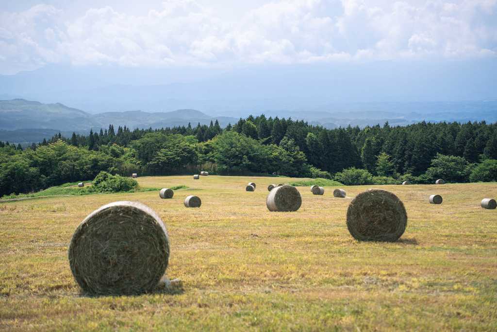 牧草ロールが転がるのどかな風景と山々