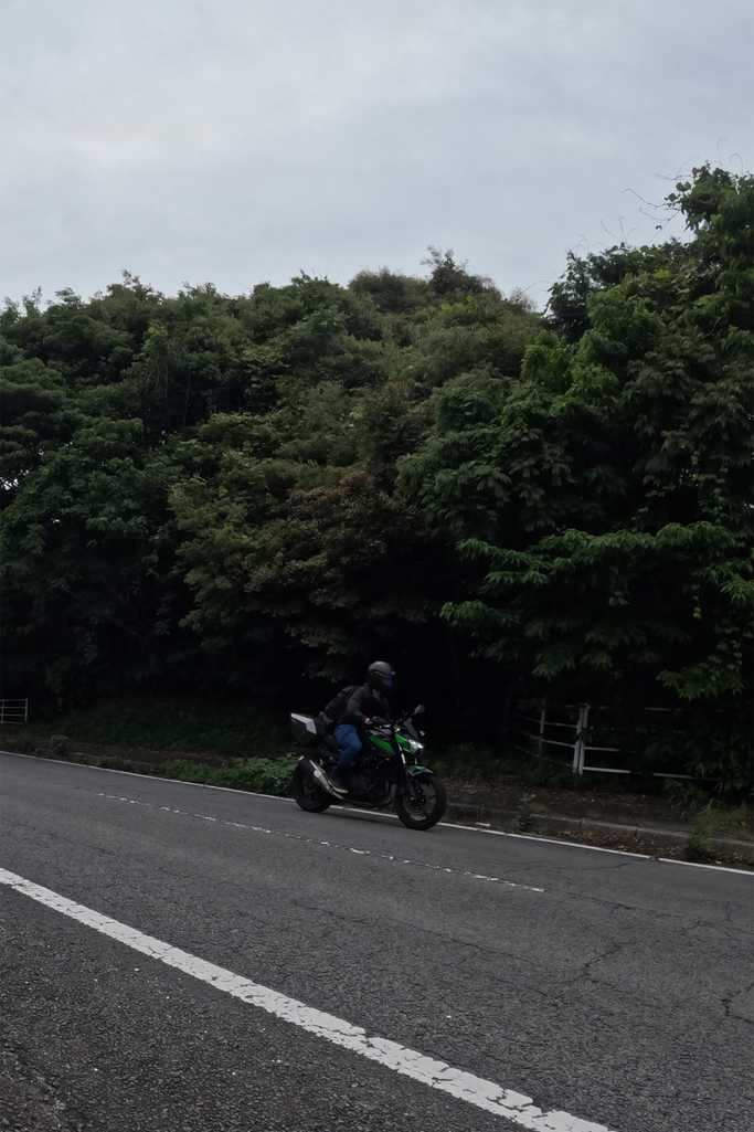 自撮り
