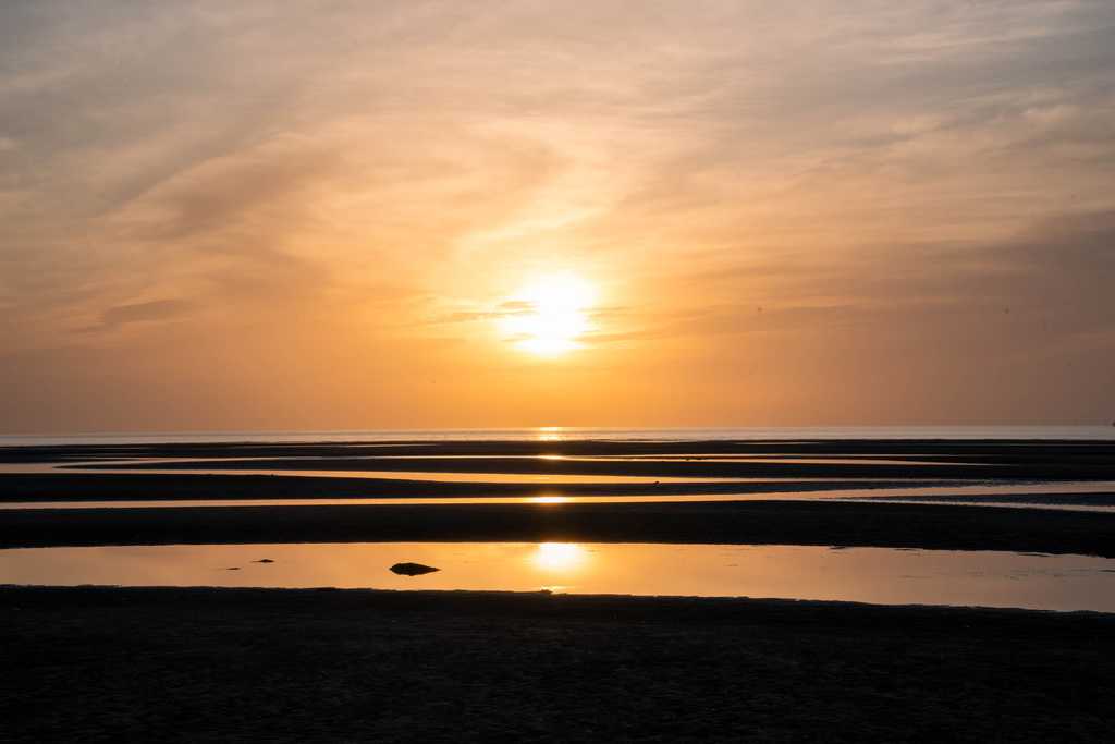 黄金色に輝く干潟と夕陽
