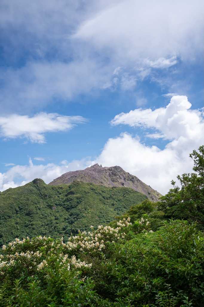山頂からの眺望