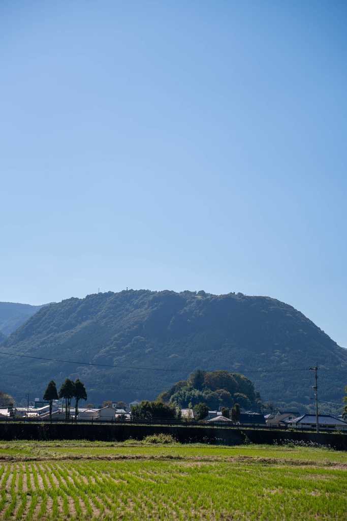 背景にそびえる伐株山